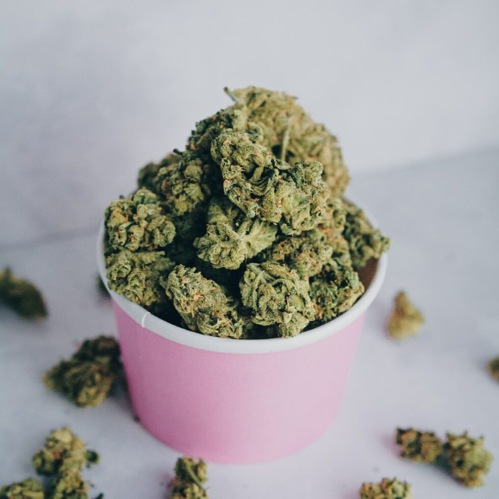 Services Offered By Shango Marijuana Dispensary Las Vegas Marijuana Dispensary Las Vegas | Best Dispensaries in Las Vegas