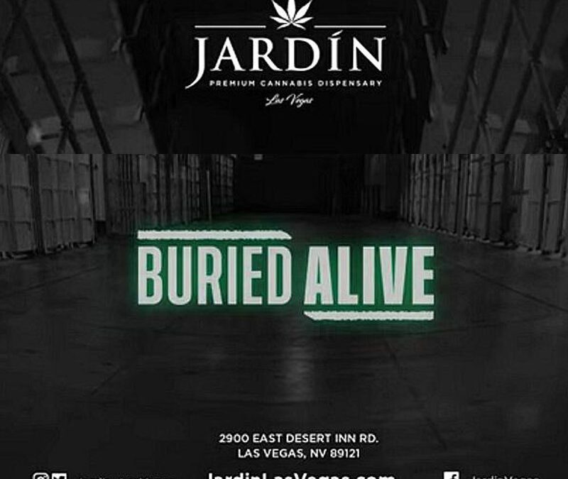 Jardin amplifies minority voices this Juneteenth