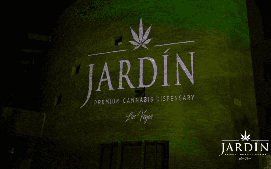 Best Disposable CBD Vape In Las Vegas