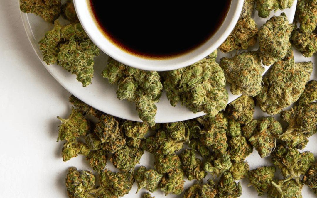 Exploring The Rich Profile of The Brownie Scout Strain
