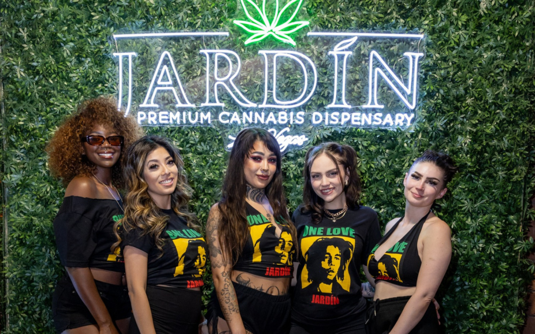 Where To Buy Cookies Weed in Las Vegas: Your Guide To The Best Spot