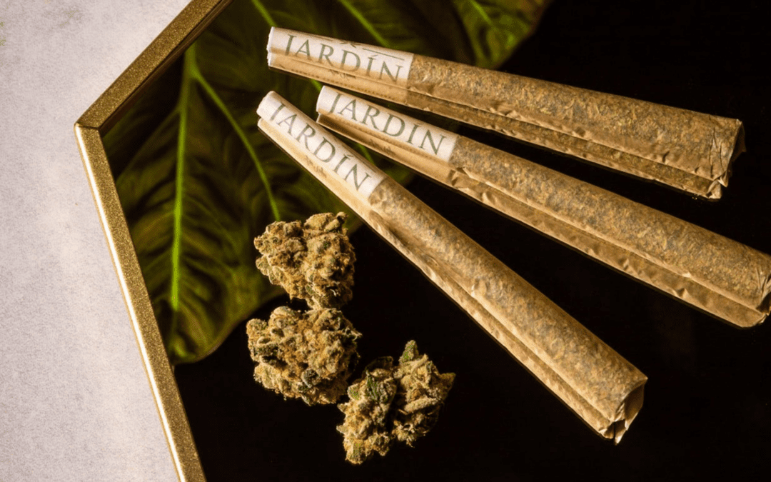 Savoring The Flavor of Las Vegas’s Best Pre-Rolls