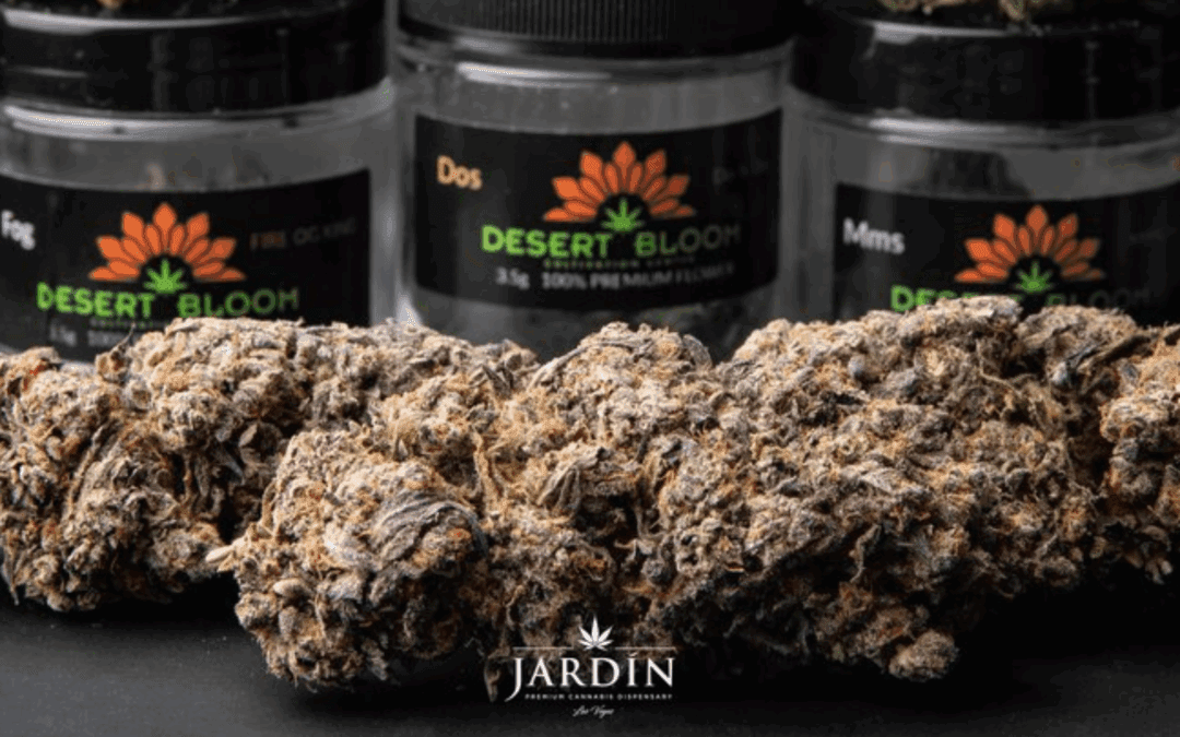 Finding The Nearest Dispensary To MGM Grand Las Vegas