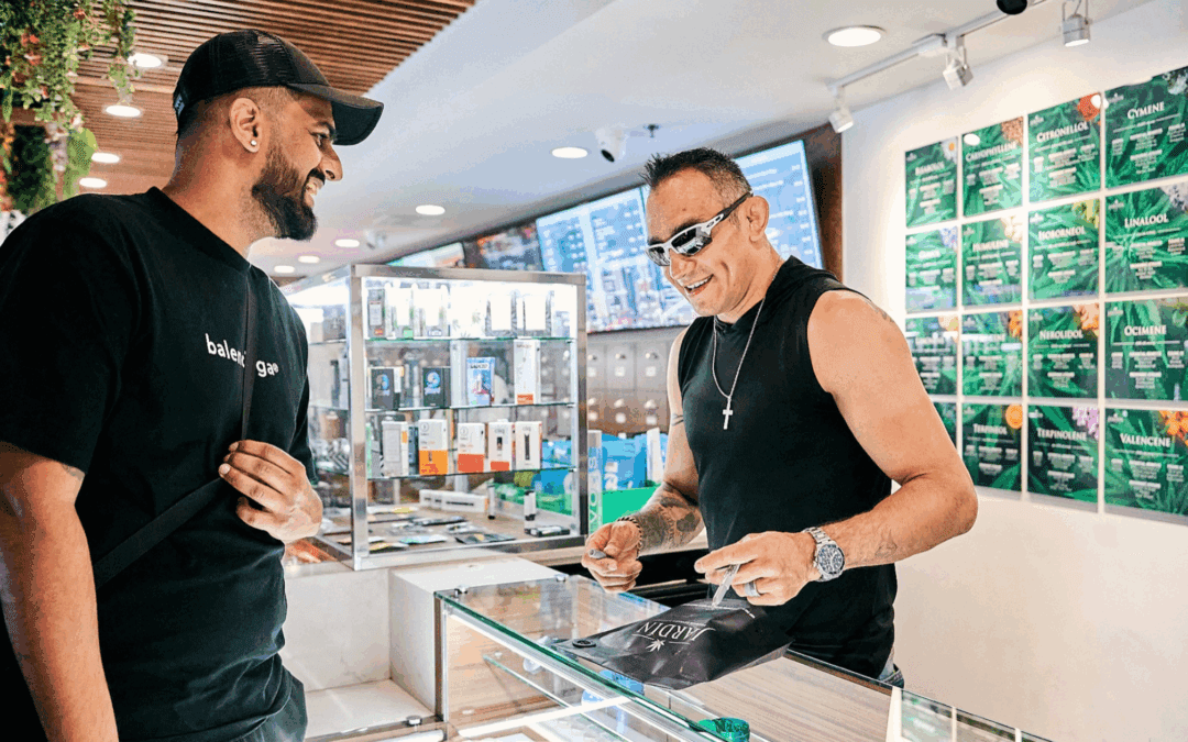 White Gummies Strain Dispensary Las Vegas Choice for Candy-Like Flavor