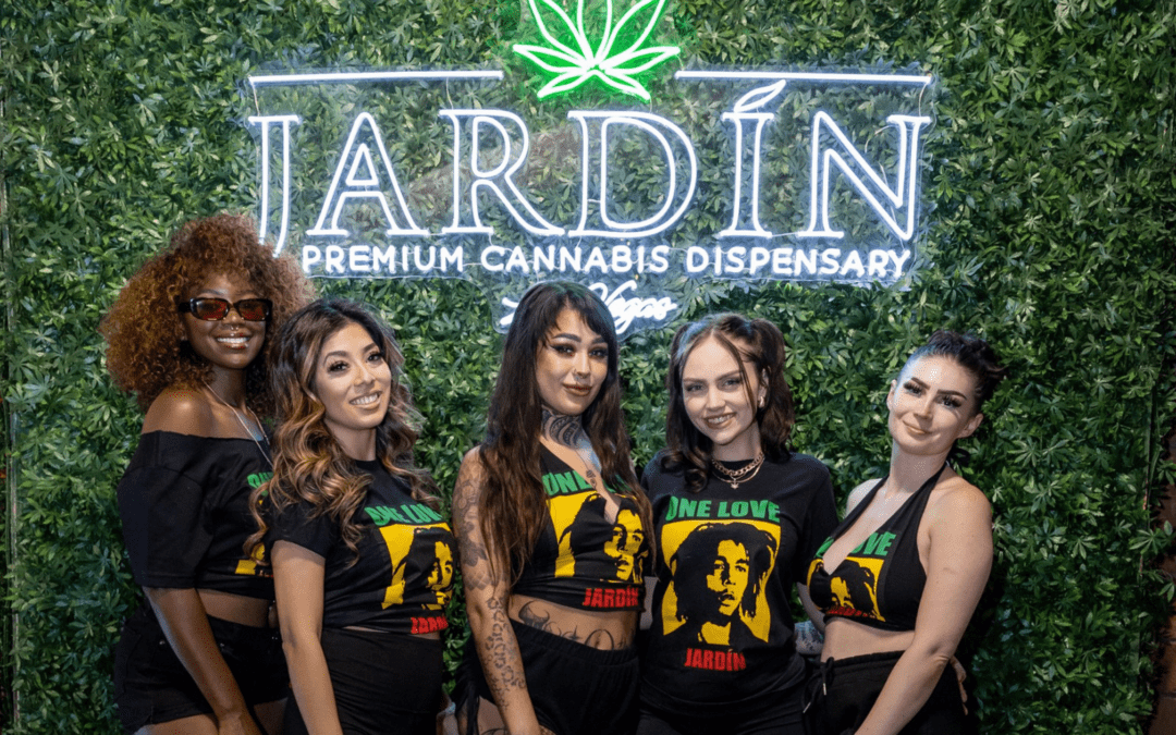 Cap Junky Strain at a Dispensary in Las Vegas: Effects, Genetics, and Who It’s Best For