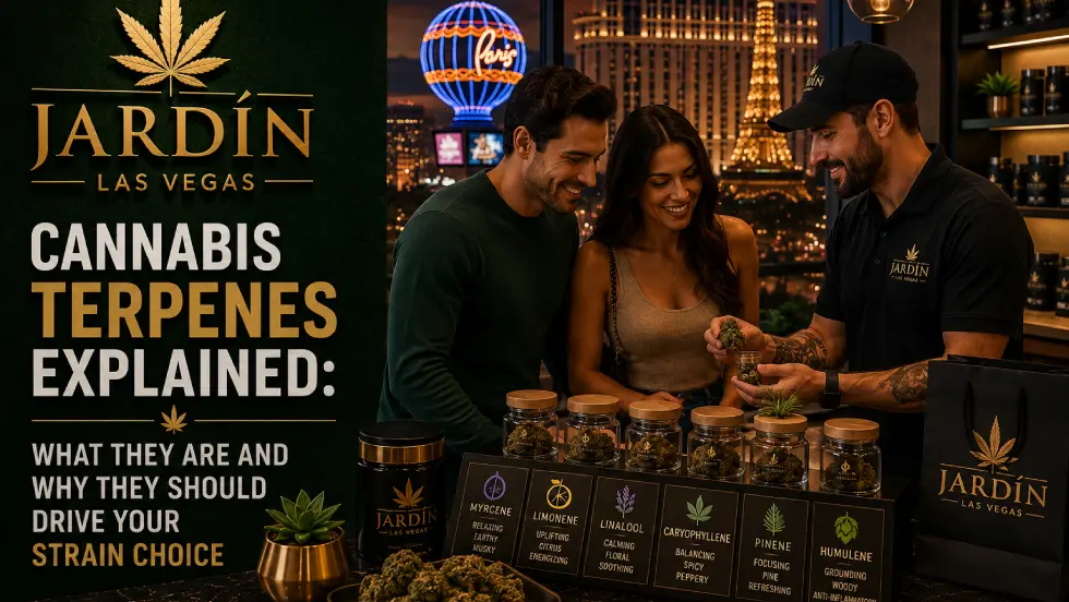 Cannabis Terpenes Explained: What They Are and Why They Should Drive Your Strain Choice